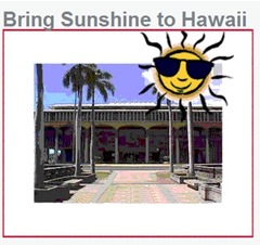 Bring Sunshine to Hawaii