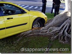 Car meets tree