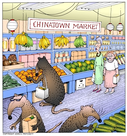 Chinatown Market Rats